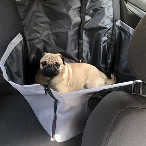 Compass huzat kistestű kutyának (58 x 52 cm)