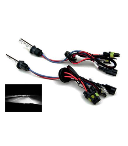 HID H1 6000K 12V - Xenon izzó