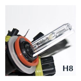 HID H8 4300K 12V - Xenon izzó