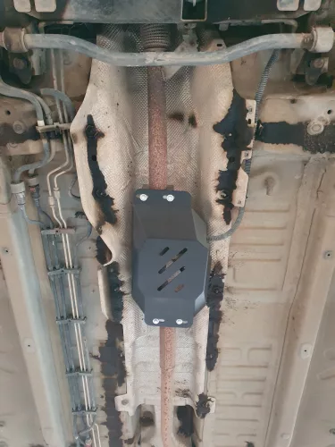 Dacia Dokker 2012- Stop&Go és EGR védő lemez - SMP98.042