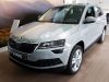 Skoda Karoq 2017-2022 (matt) Avisa lökhárítóvédő