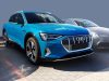 Audi e-tron 2018- (matt) Avisa lökhárítóvédő