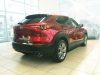 Mazda CX-30 2019- (matt) Avisa lökhárítóvédő