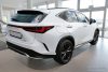 Lexus NX 2021- (matt) Avisa lökhárítóvédő