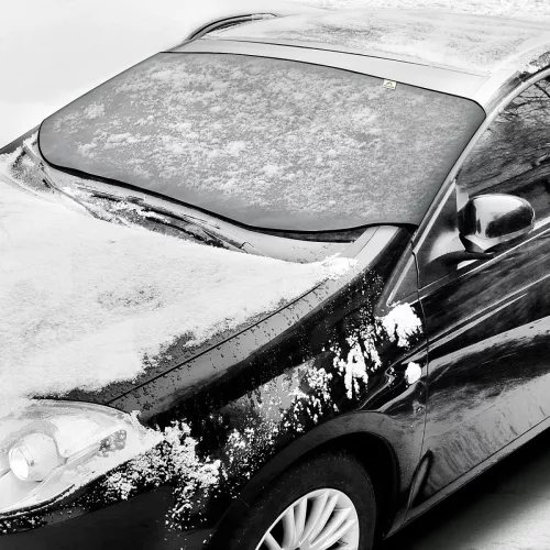 Téli szélvédővédő Winter M