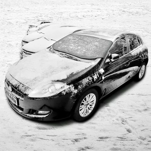 Téli szélvédővédő Winter M