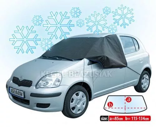 Téli szélvédővédő Winter Plus