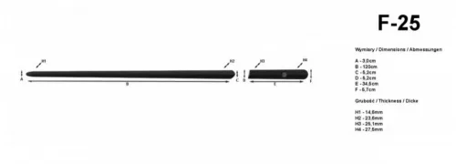 Mini One 2006- (hatchback) Rider ajtóvédő díszléc