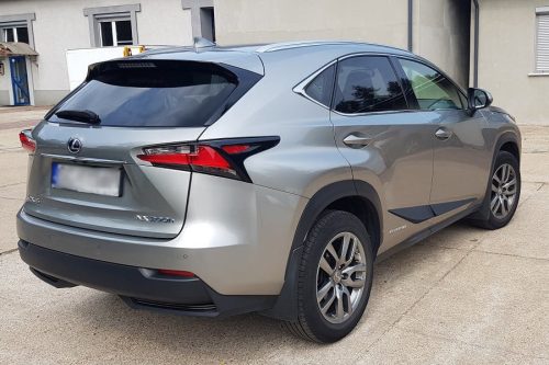 Lexus NX 2014- Rider ajtóvédő díszléc